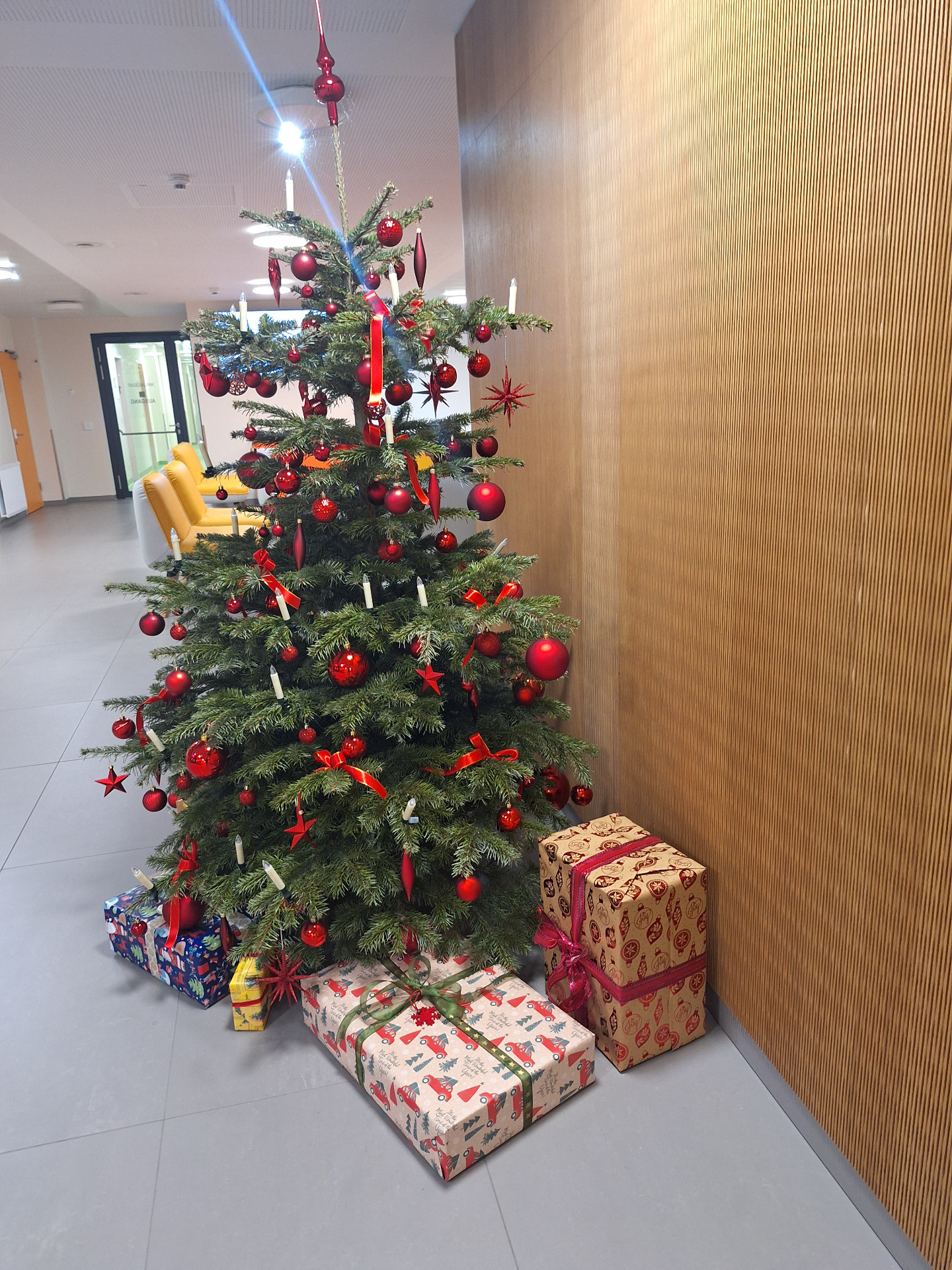 Christbaum im Anton Proksch Institut
